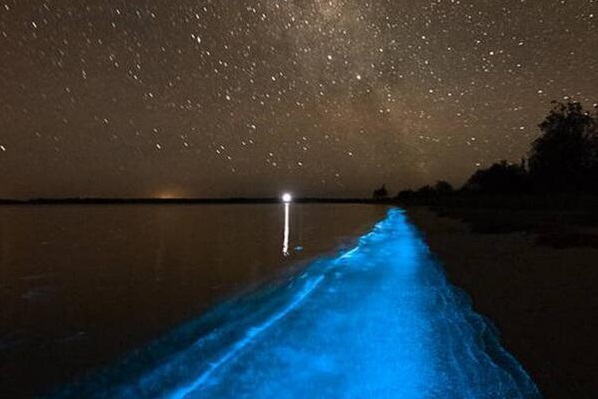 Tours in Auckland | Canoe & Kayak