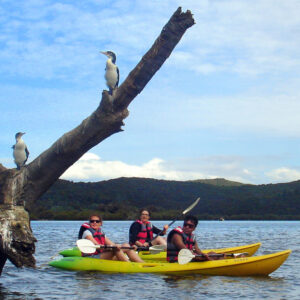 Mission Rua Double Kayak Birds copy