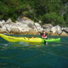 Mission Wainui Sea Kayak