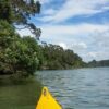 Sea Kayaking