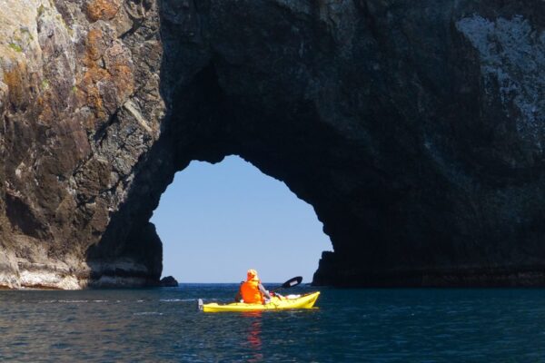 Sea kayaking Urupukapuka
